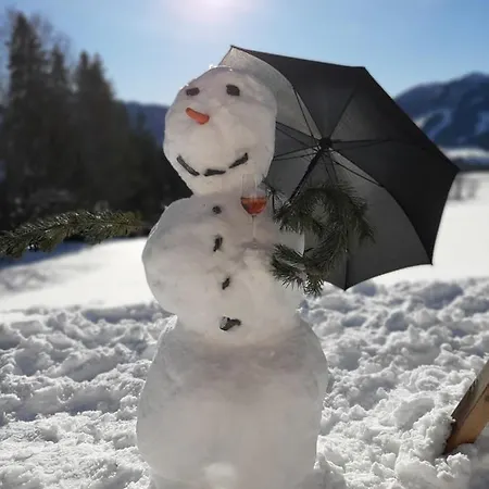 Lägenhet Felix By Schladmingurlaub *