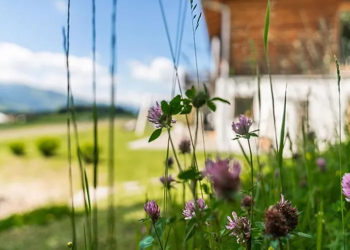 Felix By Schladmingurlaub Apartamento *