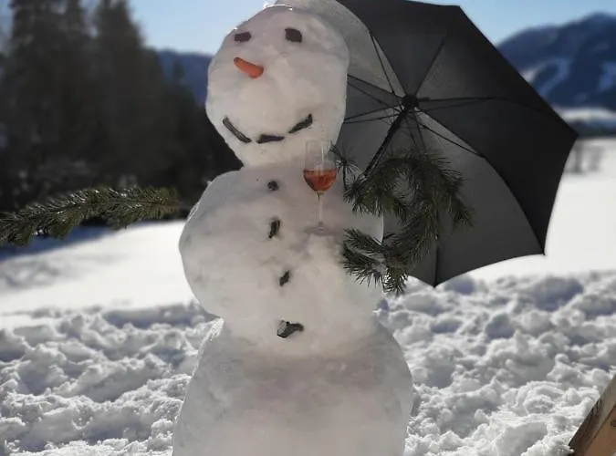 Апартаменты Felix By Schladmingurlaub *